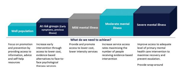 System changes to strengthen the Stepped Care Model in primary mental healthcare clinical service delivery